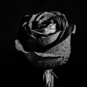 ABC Amplified - The Deeper Dive into Me...